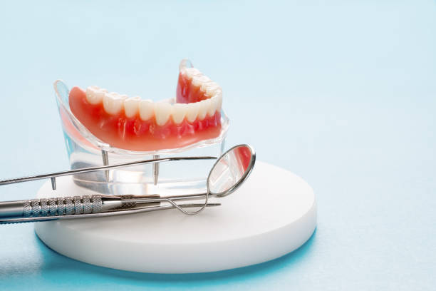 Best Dental Exams and Cleanings  in Havre De Grace, MD